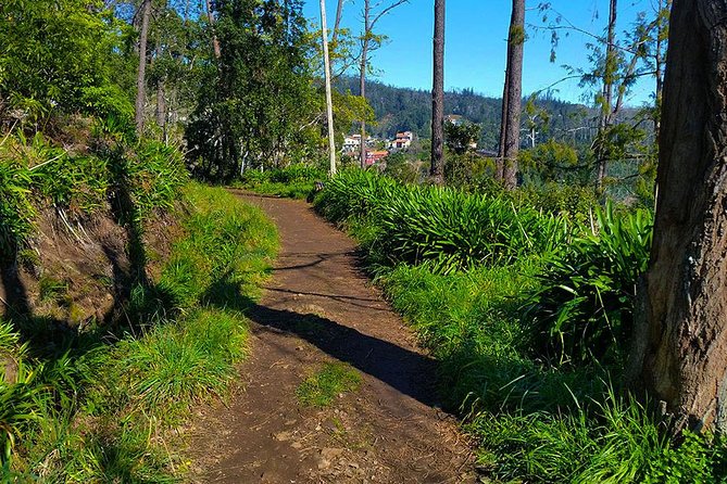 Paradise Valley - Levada Walk - What the 4-Hour Plan Looks Like (Funchal → Choupana → Camacha)