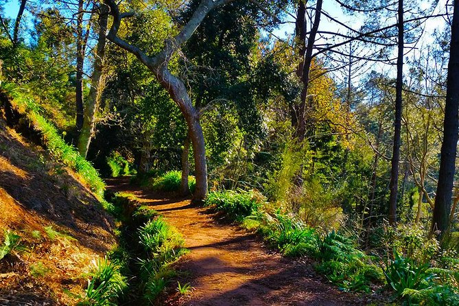 Paradise Valley - Levada Walk - The Views Over Funchal and Camacha: Nice, Not Constant