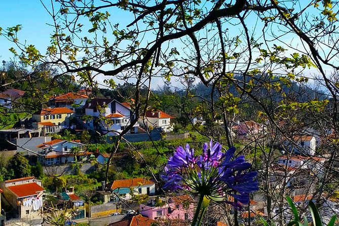 Paradise Valley - Levada Walk - A Midway Comfort Stop and a Little Time to Reset