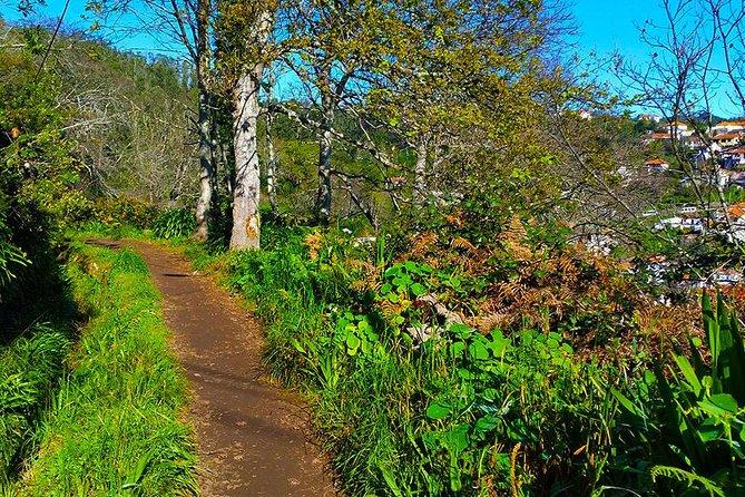 Paradise Valley - Levada Walk - Finishing in Camacha: Handicrafts and Local Color