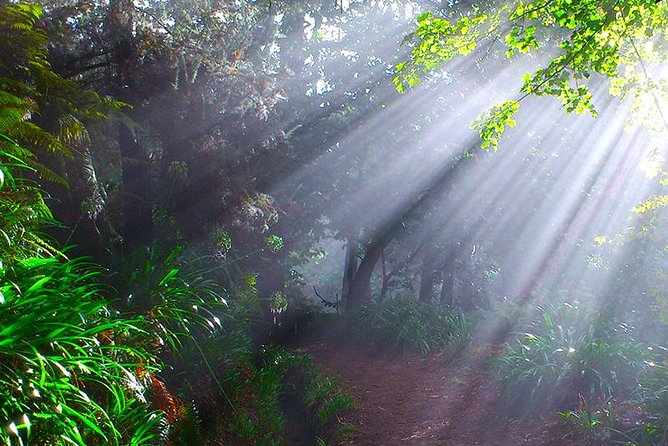 Paradise Valley - Levada Walk - Getting Started in Choupana: Where the Air Feels Different