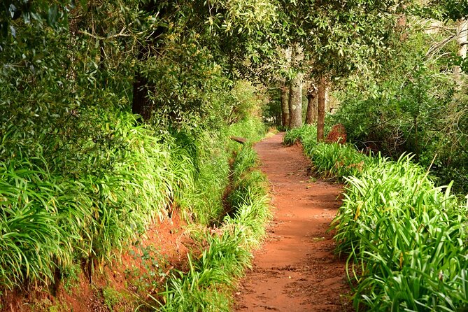 Paradise Valley Madeira Island Walk - Key Highlights You’ll Feel On the Ground