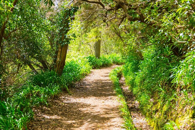 Paradise Valley Madeira Island Walk - Where Paradise Valley Fits In Madeira (Funchal Convenience)