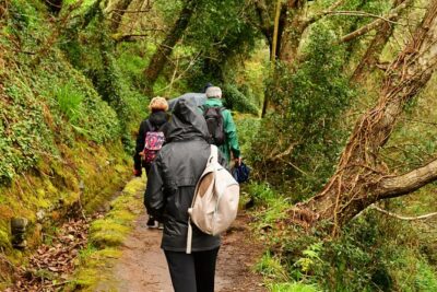Paradise Valley Madeira Island Walk - The Route: Serra do Faial to Vale Paraíso and Rochão at a Relaxed Pace