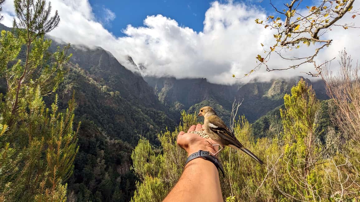 Pico do Arieiro in 4h: Immersive Private Experience (Cabrio) - Key highlights you’ll actually feel