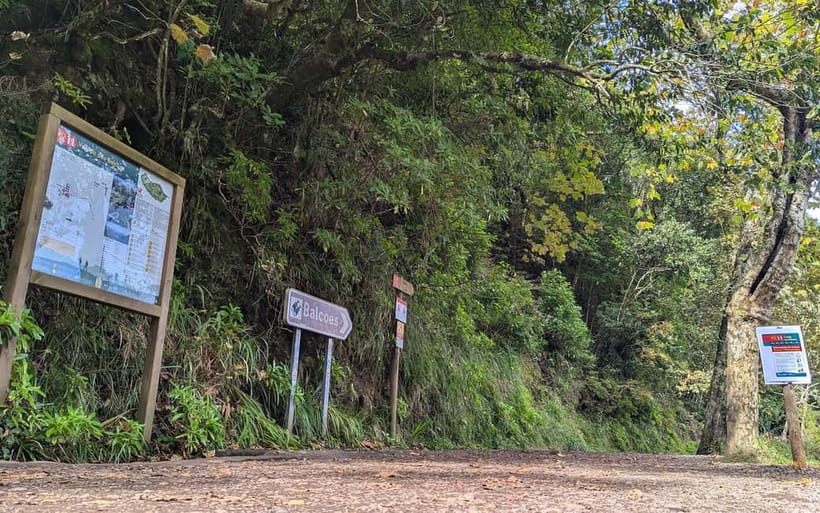 Pico do Arieiro in 4h: Immersive Private Experience (Cabrio) - The cabriolet drive: eucalyptus valley to Terreiro da Luta