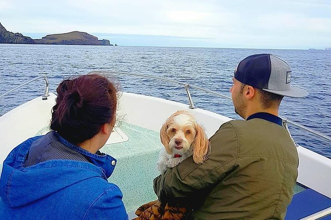 Ponta de São Lourenço Boat Tour - Safety, Comfort, and Why the Route Can Change on Rough-Wave Days