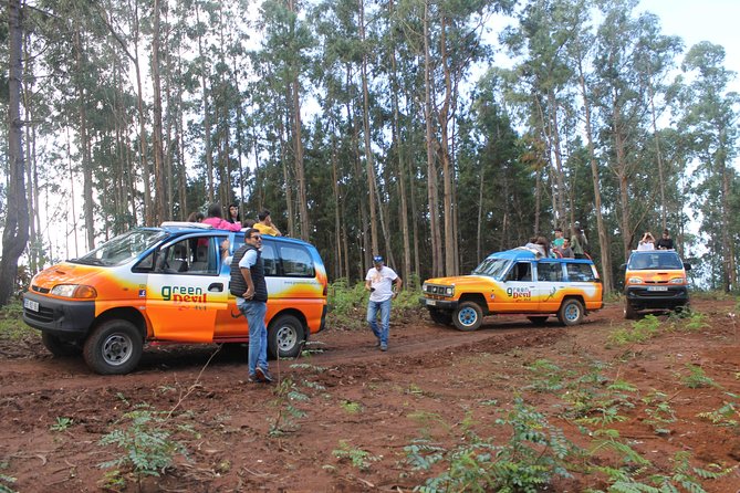 Porto Moniz 4x4 West tour - Paul da Serra And The Levada Walk: The Part You’ll Remember