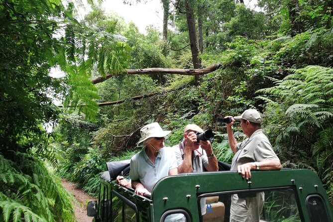 Porto Moniz - Private Full-Day - Safari 4x4 Tour - NorthWest - A Private 4x4 Day That Actually Changes Your Perspective