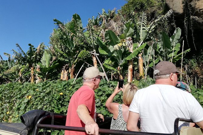 Porto Moniz - Private Full-Day - Safari 4x4 Tour - NorthWest - Fanal Forest and the Plateau Edges: Quiet Trails and Big Views