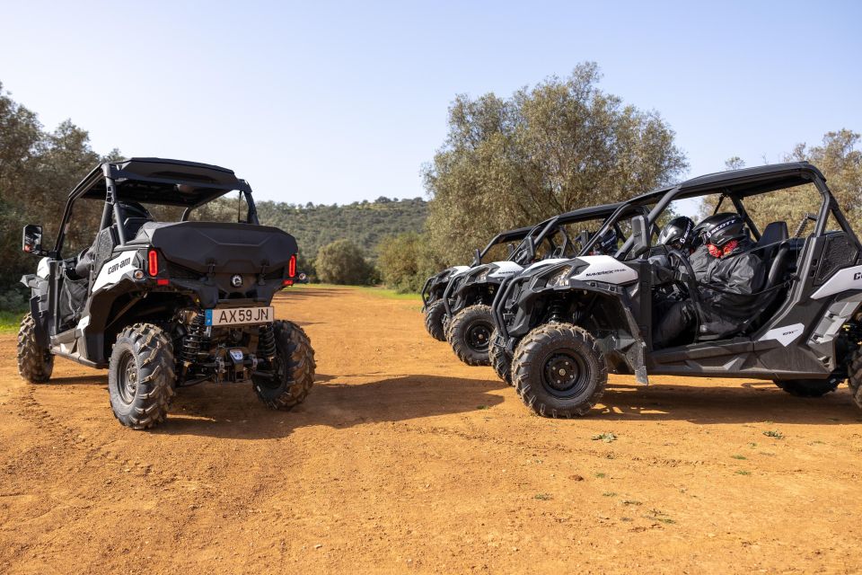 Porto Santo: 180 Minutes Off-Road Buggy Tour - Price and Value: Is $188 Worth It?