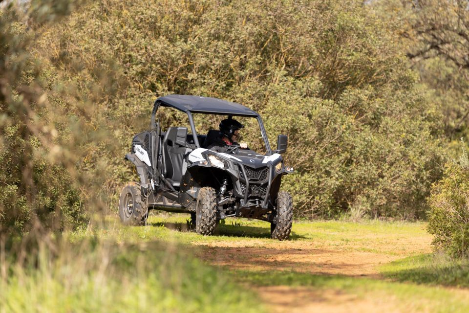 Porto Santo: 180 Minutes Off-Road Buggy Tour - Porto Santo Buggy Tour: Off-Road Fun on Madeira’s Quiet Twin Island