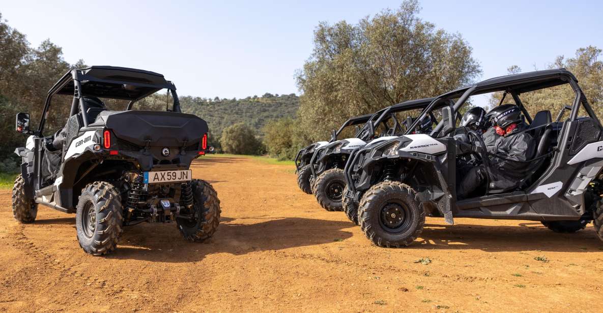 Porto Santo: 180 Minutes Off-Road Buggy Tour - Meeting Your Guide and Getting Ready to Drive