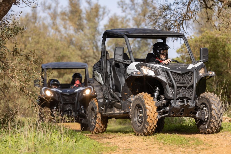 Porto Santo: 180 Minutes Off-Road Buggy Tour - Route Walkthrough: Miradouro da Portela to Pico do Castelo
