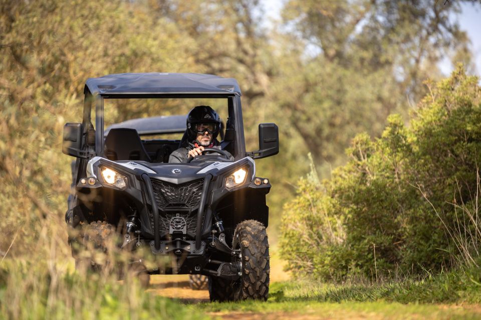 Porto Santo: 180 Minutes Off-Road Buggy Tour - What’s Included, What’s Not, and What You Should Budget