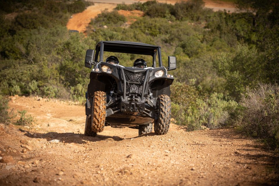 Porto Santo: 180 Minutes Off-Road Buggy Tour - What the 3-Hour Experience Actually Feels Like
