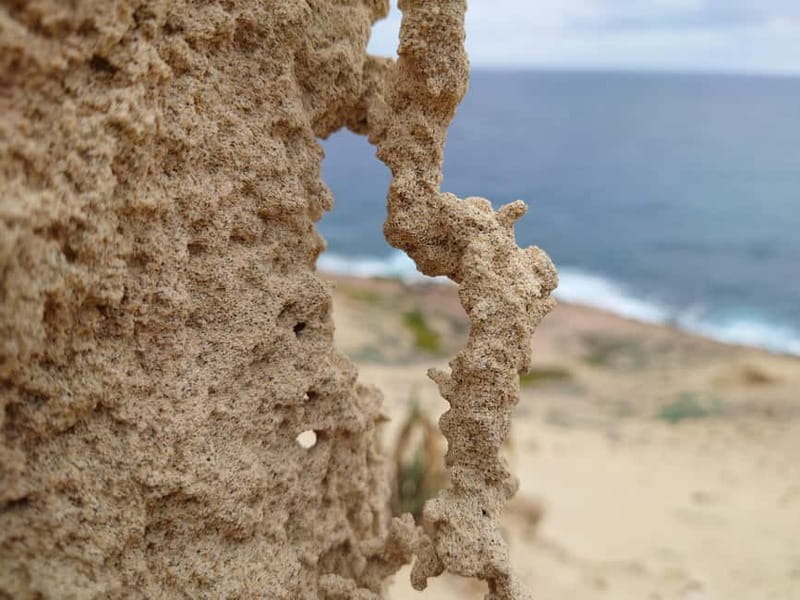 Porto Santo: Island Highlights 4x4 Tour with Hotel Transfers - How the small group pace improves your day