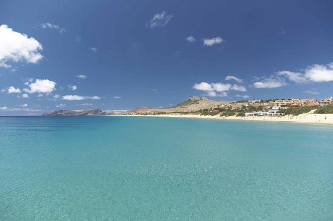 Porto Santo One-Day Cruise and Tour - Quinta das Palmeiras and Miradouro da Portela: plant life and photo angles