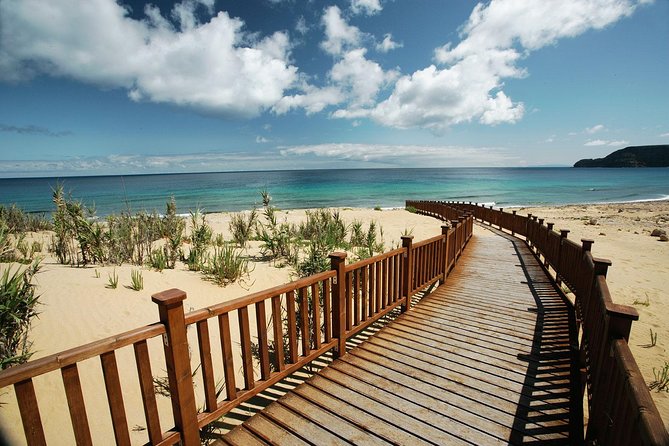 Porto Santo One-Day Cruise and Tour - Calheta beach free time: where the golden sand pays off
