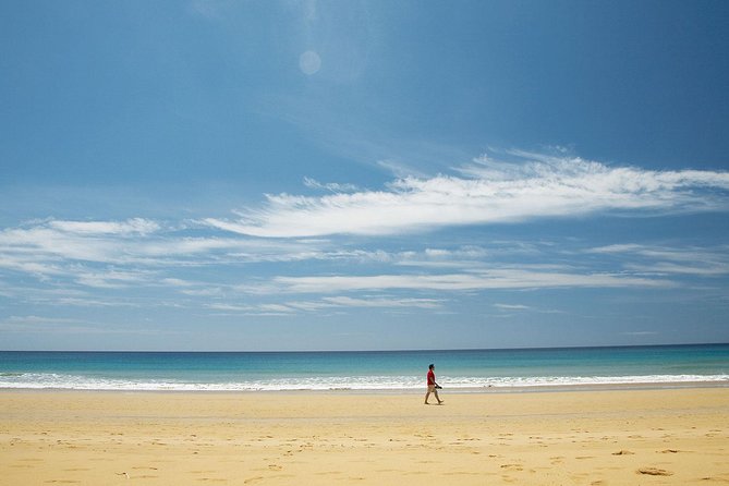 Porto Santo One-Day Cruise and Tour - Group size, guides, and English: what to expect from Lido Tours