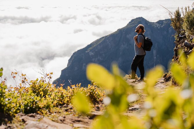 PR1 Sunrise Pico do Arieiro Self-Guided Hiking Transfer - Pickup, timing, and the small-van ride feel
