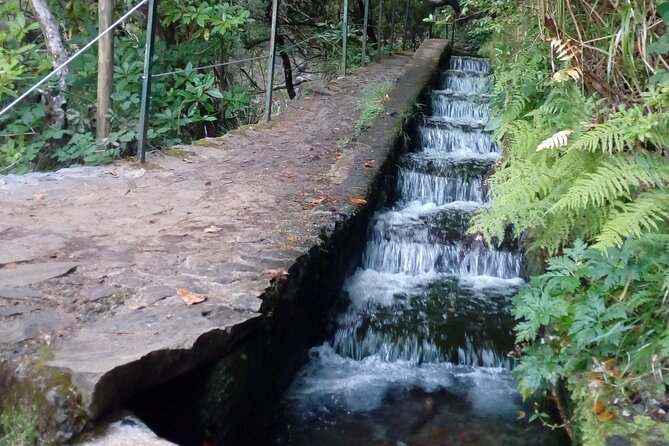 PR6 25 Fountains/Risco Levada Walk - Why This PR6 Walk Feels Easier Than It Sounds