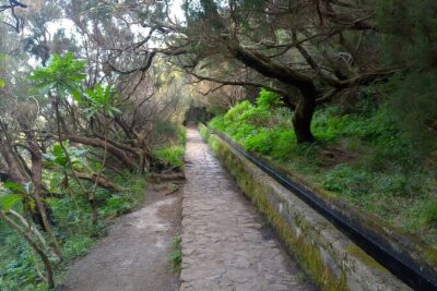 PR6 25 Fountains/Risco Levada Walk - Self-Guided Doesn’t Mean Sloppy: What You Should Expect