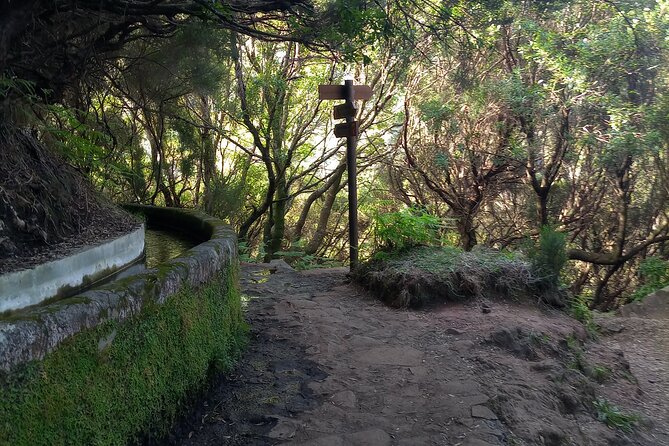 PR6 25 Fountains/Risco Levada Walk - Price and Value: Does $102.13 Make Sense Here?