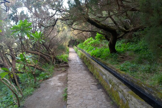 PR6 25 Fountains/Risco Levada Walk - Self-Guided Doesn’t Mean Sloppy: What You Should Expect