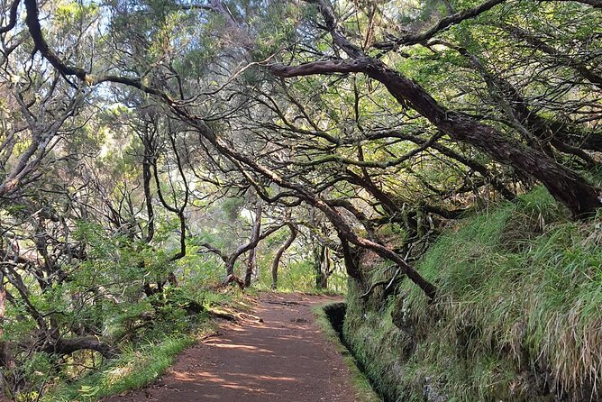 PR6 & PR6.1 25 Fontes & Risco Levada Self-Guided Hiking Rabaçal - Key Highlights at a Glance