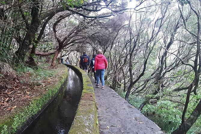 PR6 & PR6.1 25 Fontes & Risco Levada Self-Guided Hiking Rabaçal - Timing Tips: Crowds, Heat, and That Early-Morning Edge