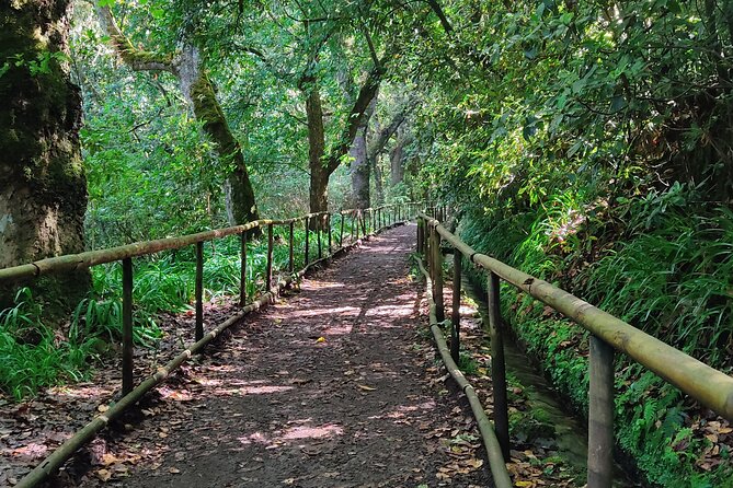 PR9 Caldeirão Verde Queimadas Levada Self-Guided Hiking Transfer - Key Things to Know Before You Walk PR9 Caldeirão Verde
