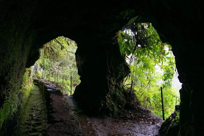 PR9 Caldeirão Verde Queimadas Levada Self-Guided Hiking Transfer - Stop 1: Queimadas Instructions, Cafe Start, and Getting Your Bearings Fast
