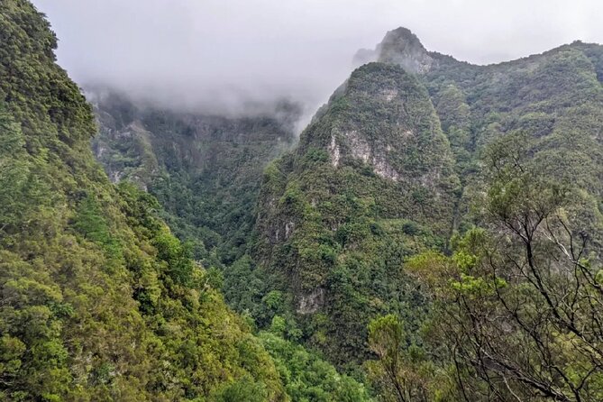 PR9 Caldeirão Verde Queimadas Levada Self-Guided Hiking Transfer - The Waterfall Payoff at Pico das Pedras