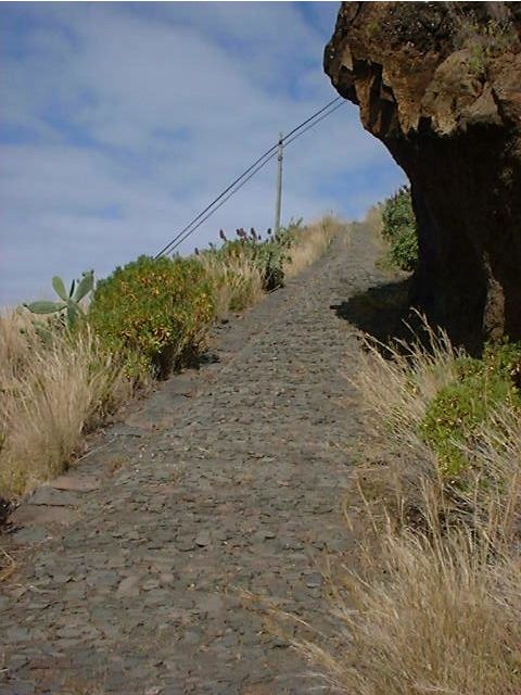 Prazeres: Full-Day Nature Walk - Key Highlights You’ll Feel on This Walk