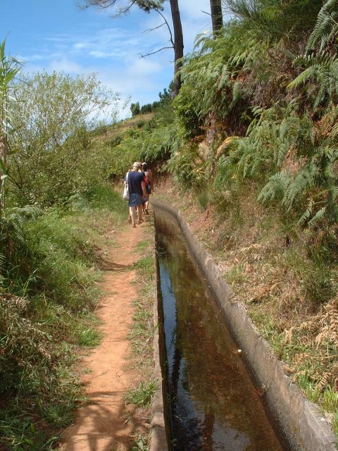 Prazeres: Full-Day Nature Walk - Madeira’s Extreme West Start: From Hotel Pick-Up to Sea-View Walking