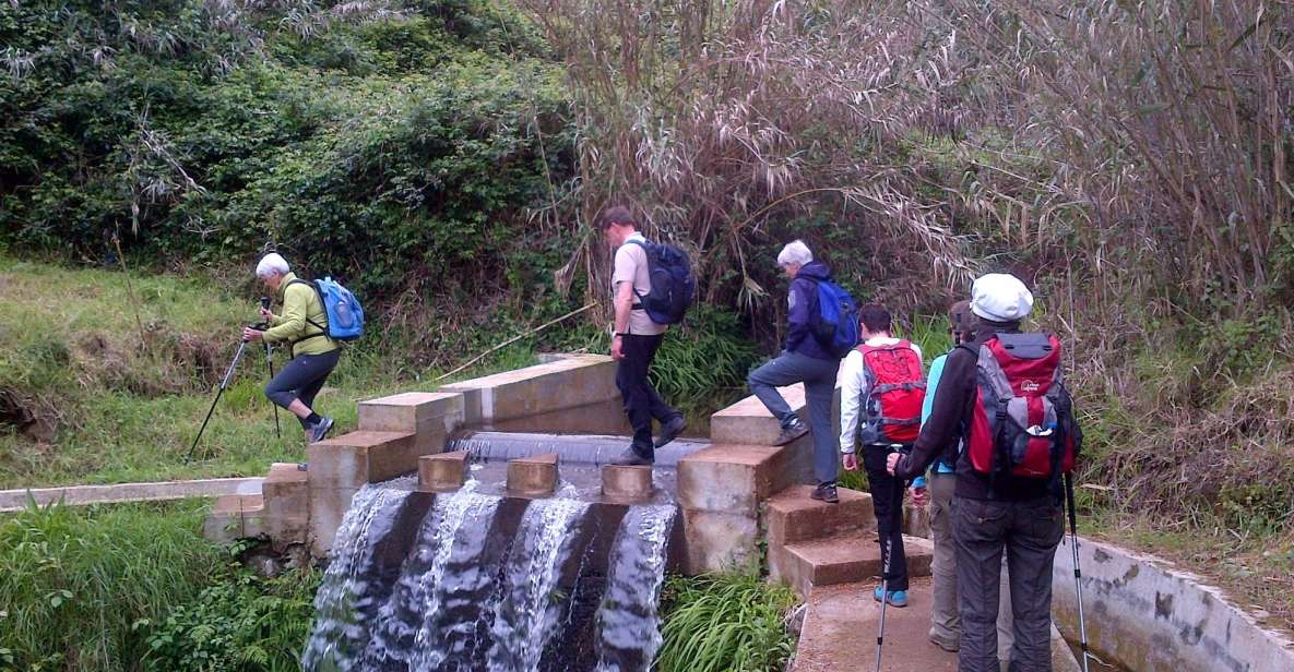Prazeres: Full-Day Nature Walk - Prazeres and the Levada: Why This Route Feels Like Madeira’s Real Working Landscape