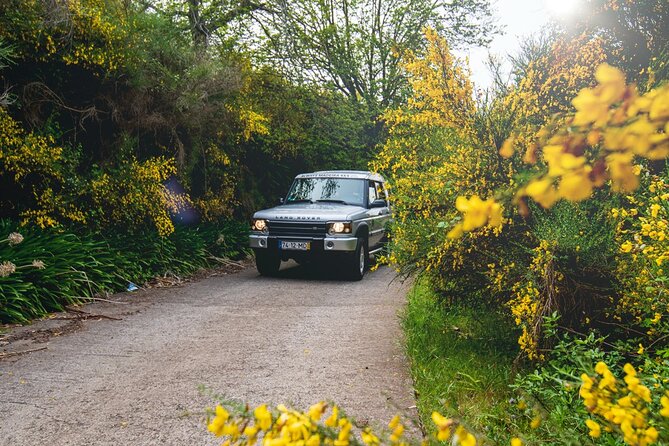 Private 4x4 Jeep Half Day - Picturesque Peaks, Vineyards, Skywalk - A private 4x4 Jeep on Madeira: why this format works