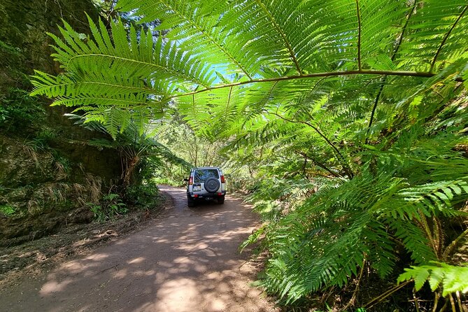Private 4x4 Jeep Half Day - Picturesque Peaks, Vineyards, Skywalk - Who this tour suits best (and who should consider another option)