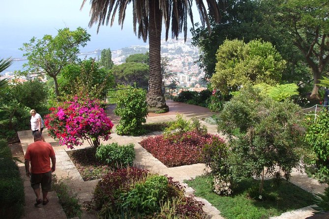 Private Botanical Garden Tour - Pickup in Funchal: Hotels, City Area, and Cruise Ports