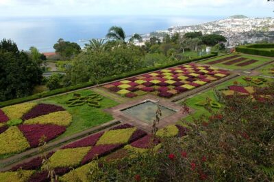 Private Botanical Garden Tour - Central Market Stop: A Quick Taste of Funchal’s Everyday Life