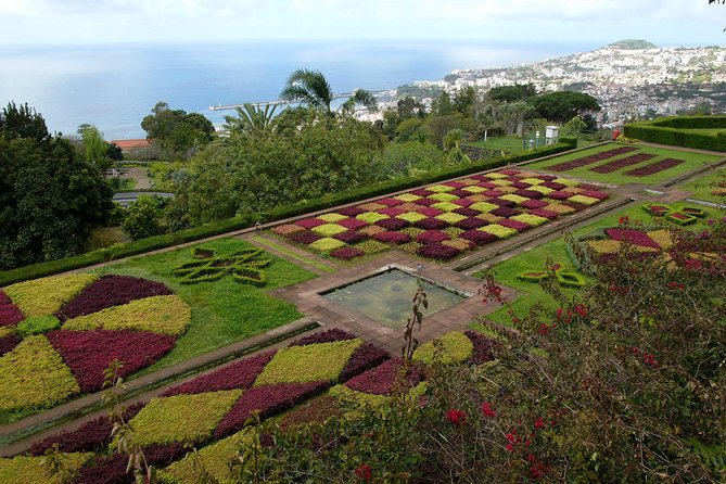 Private Botanical Garden Tour - Central Market Stop: A Quick Taste of Funchal’s Everyday Life