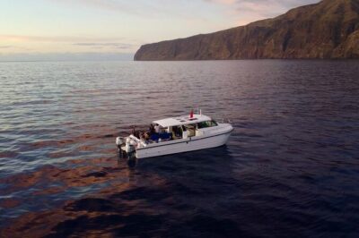Private Cruise to Calheta and Caniçal Coasts - The Onboard Experience: Modern Boat, Real Comfort, Local Touch