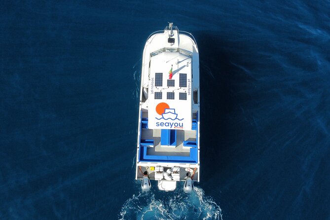 Private Cruise to Calheta and Caniçal Coasts - Value and Price: When $89.60 Per Person Makes Sense