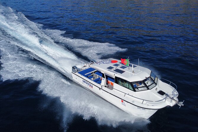 Private Cruise to Calheta and Caniçal Coasts - Meeting Point Reality: Plan Your Arrival Like a Local