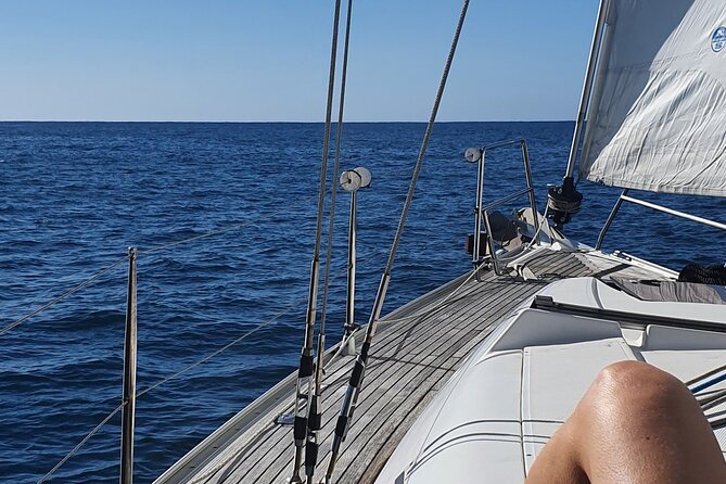 Private Cruise with Wine Tasting in Funchal Bay - Meeting at Marina do Funchal and why the 4:00 pm start works
