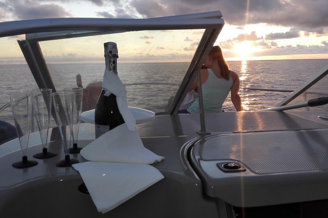 Private Dolphin and Whale Watching Tour in Madeira - Key things that make this tour worth a look