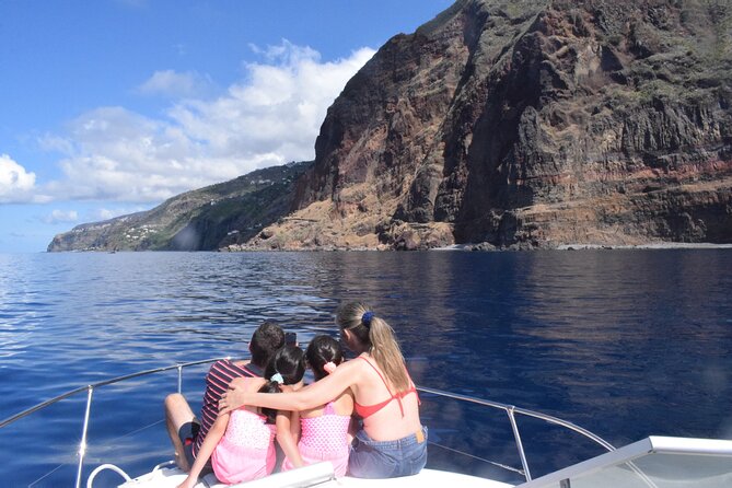 Private Dolphin and Whale Watching Tour in Madeira - Price and Value: Why This Costs What It Costs (and Where It’s Smart)