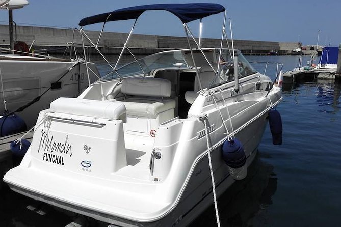 Private Dolphin and Whale Watching Tour in Madeira - Getting There and Getting Ready: Meeting Point at On Tales in Calheta