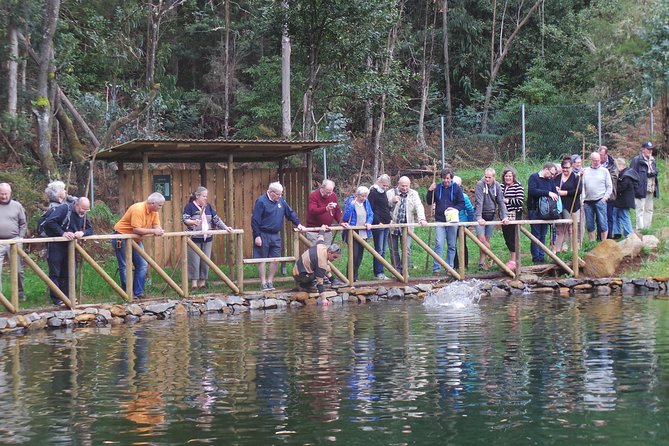 Private Full Day 4X4 Experience: East or West - Porto Moniz Natural Swimming Pools: Volcanic Water, Real Break Time